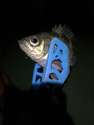 メバリングin御所浦4