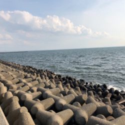 真昼間シーバス