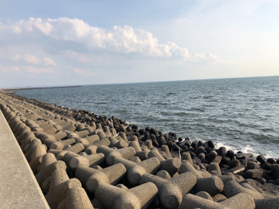 真昼間シーバス