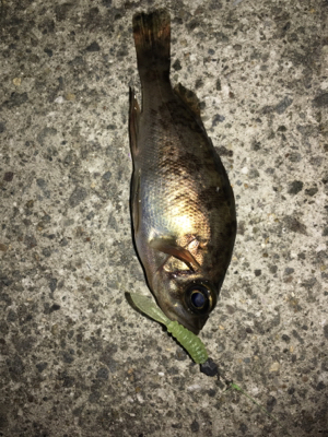 ランガンメバリング