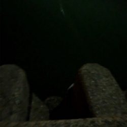 ナイトアジング