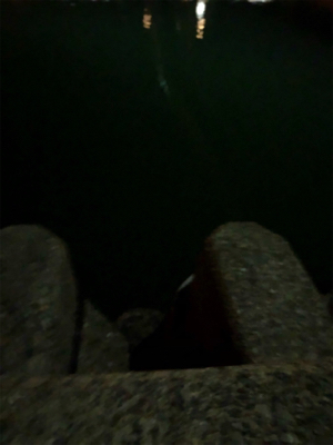 ナイトアジング