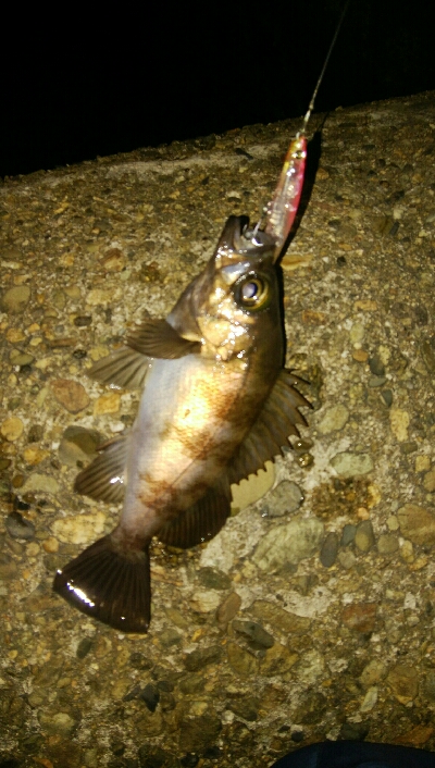 プラッキングゲーム