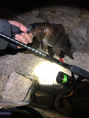 久々なメバリング