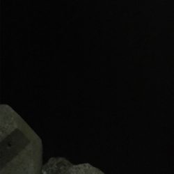 アジングゲーム入魂