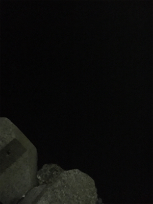 アジングゲーム入魂