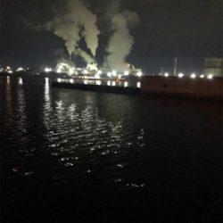 癒しのガシリング(^^)