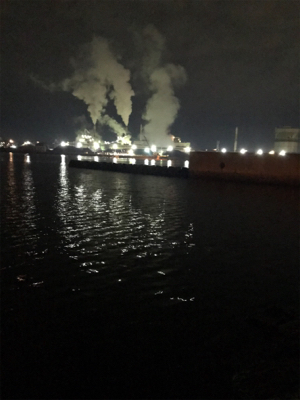 癒しのガシリング(^^)