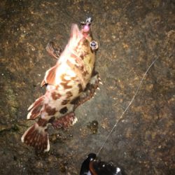 岩屋ライトゲーム