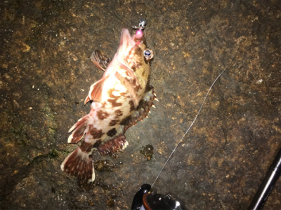 岩屋ライトゲーム