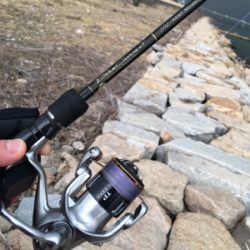 淀川ブリームゲーム 2019年初キビレ