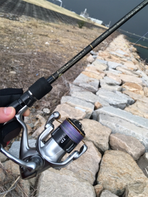 淀川ブリームゲーム 2019年初キビレ