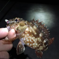 常夜灯まわりで