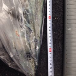 防波堤から寒サワラ88cm！