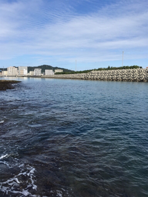 暖かくなってきた朝マズメ