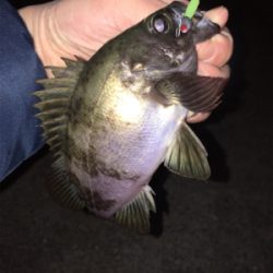 強風の中メバリング