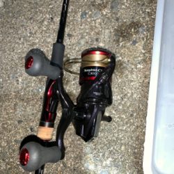 アオリイカ開幕！？