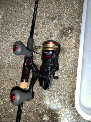 アオリイカ開幕！？