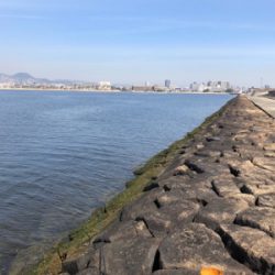 キセキ 4戦3勝 4枚