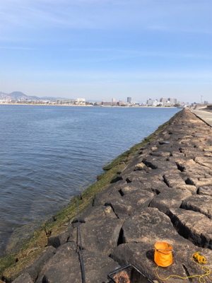 キセキ 4戦3勝 4枚