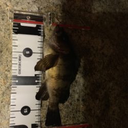 楽しめました(^^)