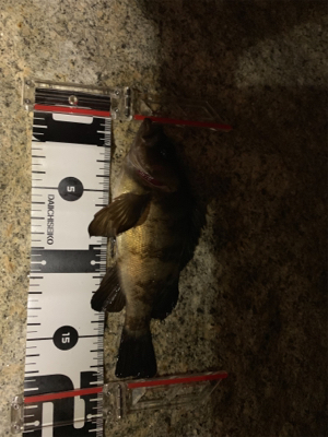 楽しめました(^^)