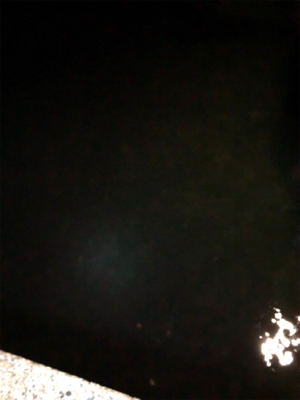 仕事終わりアジング