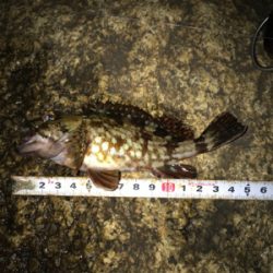 諦めなければ救われる(^^)