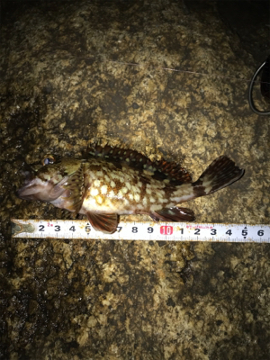 諦めなければ救われる(^^)