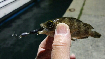 2019年3月24日in岐志漁港