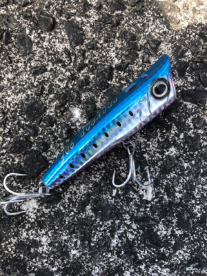 初めての宇佐一文字で…最高でした