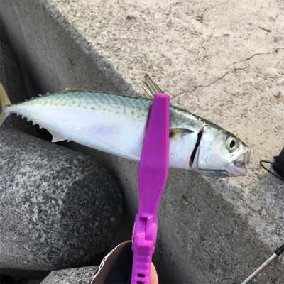 ウルトラライトショアジギング!