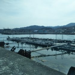 やはり穴釣りは手堅い!