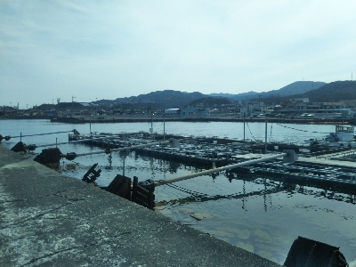 やはり穴釣りは手堅い!