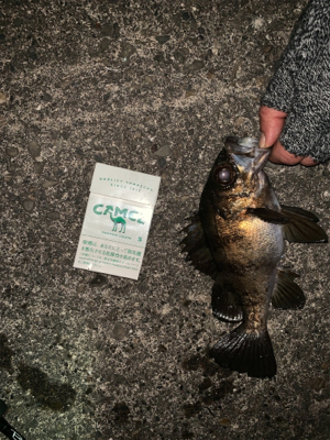 一年ぶりのサイズ!