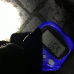 久しぶりのヤエン