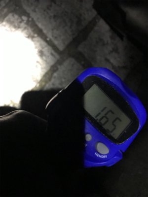 久しぶりのヤエン