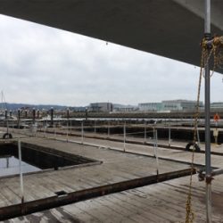 久しぶりの好釣果