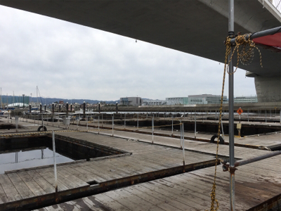 久しぶりの好釣果