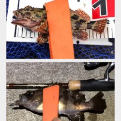 メバリング絶好調！