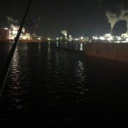 やっぱりミニガシラのみσ(^_^;)