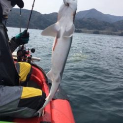 マイボートでタイラバ釣行