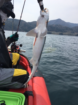 マイボートでタイラバ釣行