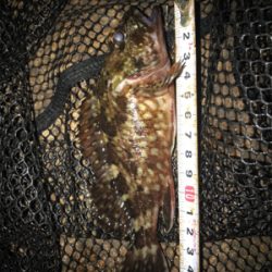 サイズUPならず(＞＜)