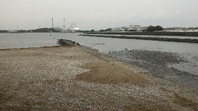 マイクロベイトパターン