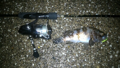 マイクロベイトパターン?