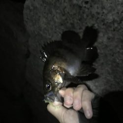 ちびっ子たくさん