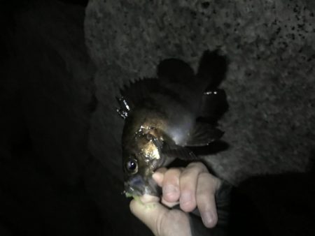 ちびっ子たくさん