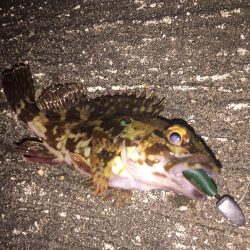 出張先の楽しみ⑤