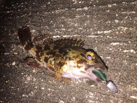 出張先の楽しみ⑤